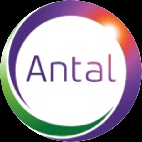 Incressa Services - Antal International